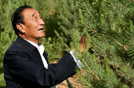 ʯ���y���Č�ɳĮ׃�G��